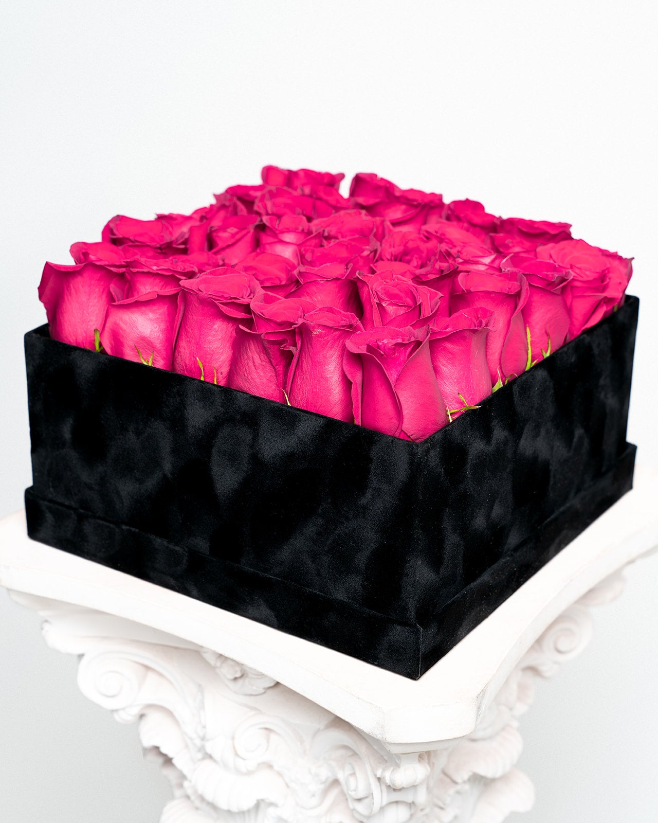 Miss Rose